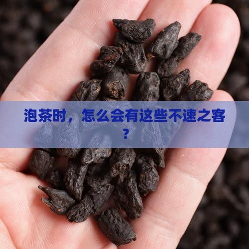 泡茶时，怎么会有这些不速之客？