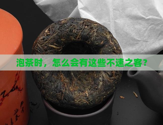泡茶时，怎么会有这些不速之客？
