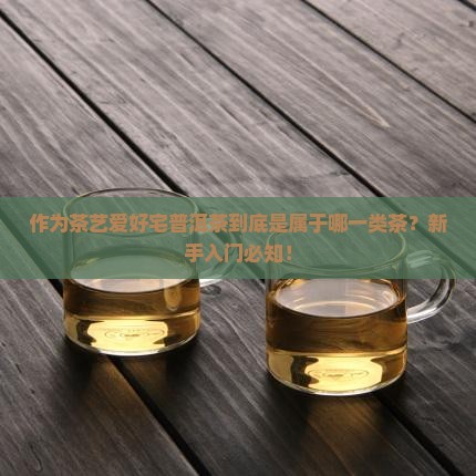 作为茶艺爱好宅普洱茶到底是属于哪一类茶？新手入门必知！