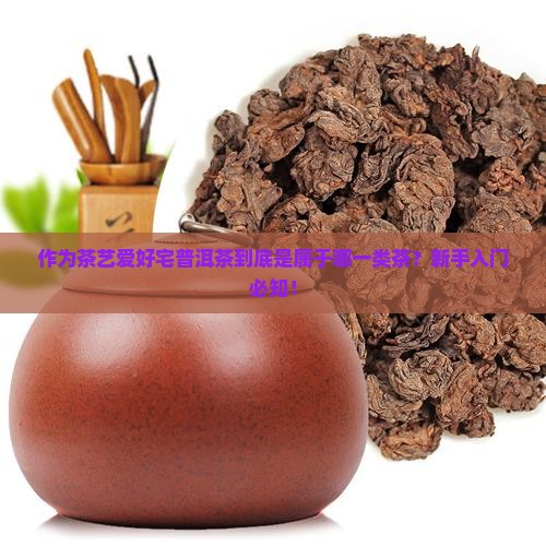 作为茶艺爱好宅普洱茶到底是属于哪一类茶？新手入门必知！