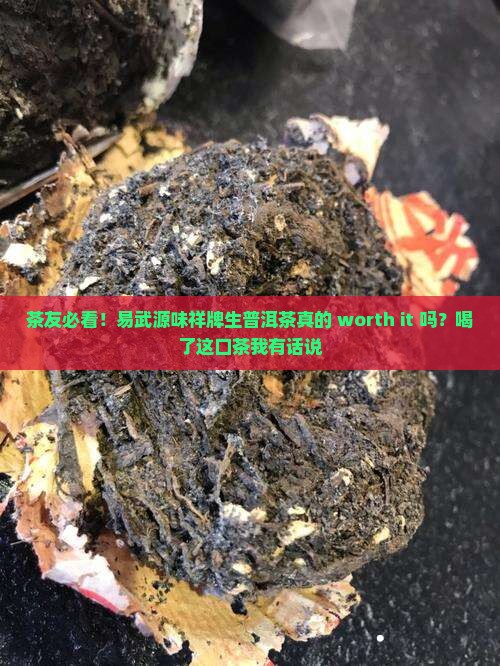 茶友必看！易武源味祥牌生普洱茶真的 worth it 吗？喝了这口茶我有话说