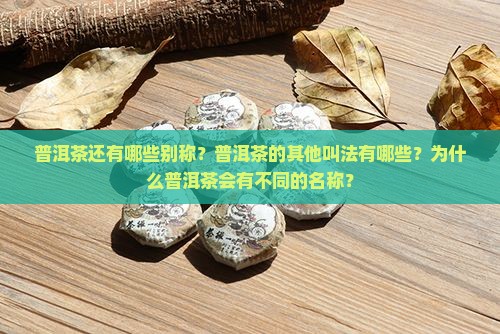 普洱茶还有哪些别称？普洱茶的其他叫法有哪些？为什么普洱茶会有不同的名称？