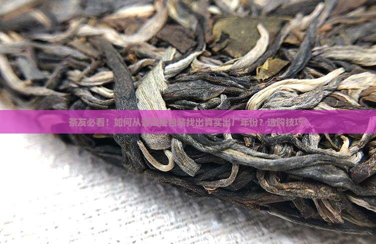 茶友必看！如何从普洱茶包装找出真实出厂年份？选购技巧！