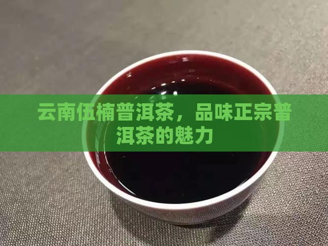 云南伍楠普洱茶，品味正宗普洱茶的魅力