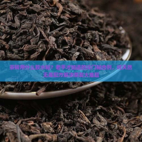 茶砖用什么胶水粘？老手才知道的冷门粘合剂，纯天然无毒配方解决茶友大难题