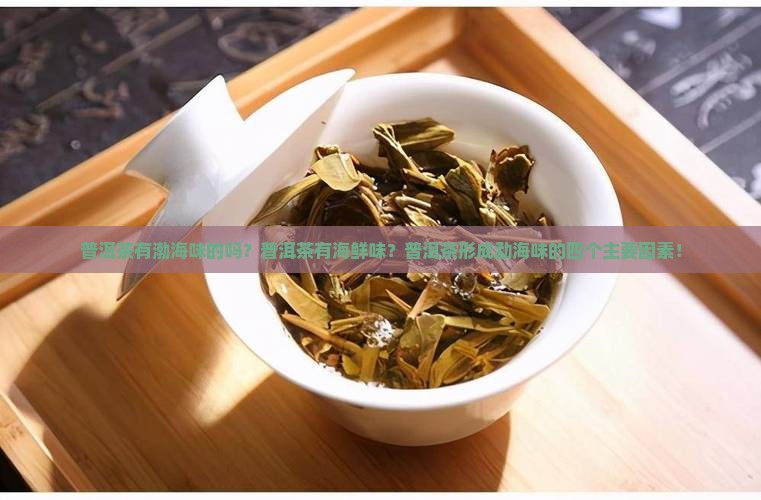 普洱茶有渤海味的吗？普洱茶有海鲜味？普洱茶形成勐海味的四个主要因素！