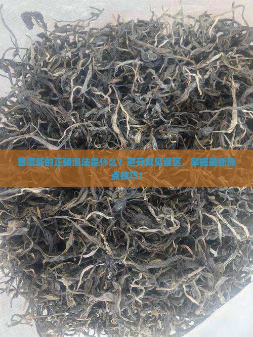 普洱茶的正确泡法是什么？避开常见误区，掌握最新热点技巧！