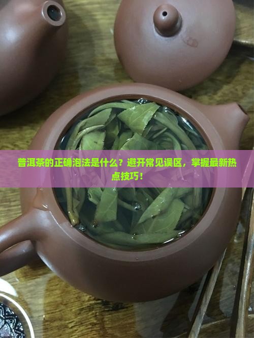 普洱茶的正确泡法是什么？避开常见误区，掌握最新热点技巧！