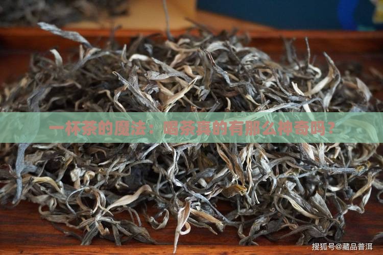 一杯茶的魔法：喝茶真的有那么神奇吗？