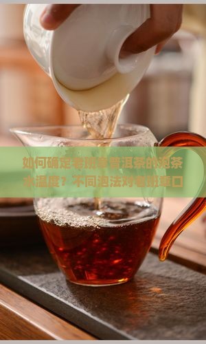 如何确定老班章普洱茶的泡茶水温度？不同泡法对老班章口感有何影响？