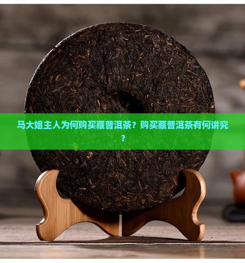 马大姐主人为何购买藏普洱茶？购买藏普洱茶有何讲究？
