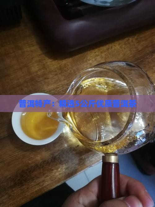 普洱特产：精选5公斤优质普洱茶