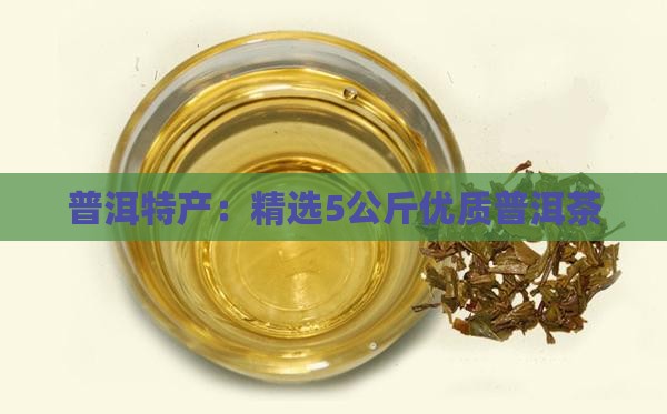 普洱特产：精选5公斤优质普洱茶