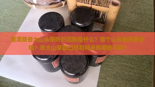 普洱茶各大山头茶叶的区别是什么？哪个山头的茶更好喝？各大山茶的口感和特点有哪些不同？