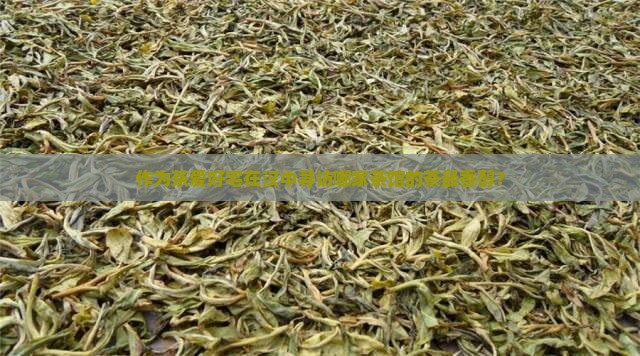 作为茶爱好宅在汉中寻访哪家茶馆的茶最香醇？
