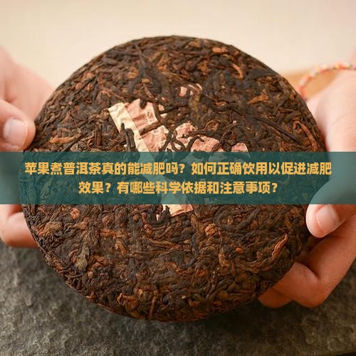 苹果煮普洱茶真的能减肥吗？如何正确饮用以促进减肥效果？有哪些科学依据和注意事项？
