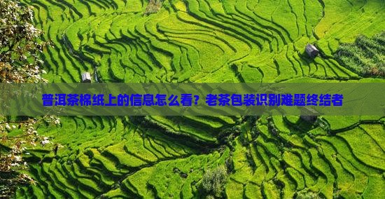普洱茶棉纸上的信息怎么看？老茶包装识别难题终结者