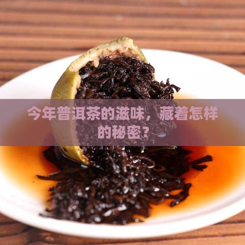 今年普洱茶的滋味，藏着怎样的秘密？