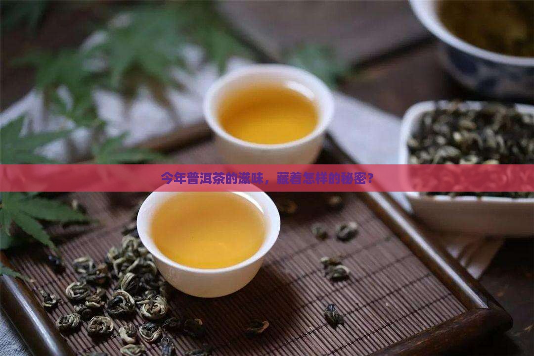 今年普洱茶的滋味，藏着怎样的秘密？