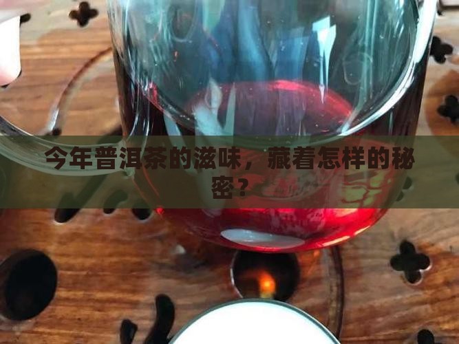 今年普洱茶的滋味，藏着怎样的秘密？