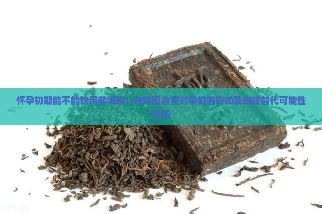 怀孕初期能不能饮用普洱茶：咖啡因含量对孕妇的影响及咖啡替代可能性分析