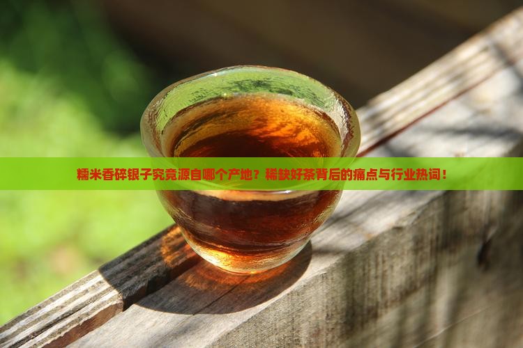 糯米香碎银子究竟源自哪个产地？稀缺好茶背后的痛点与行业热词！