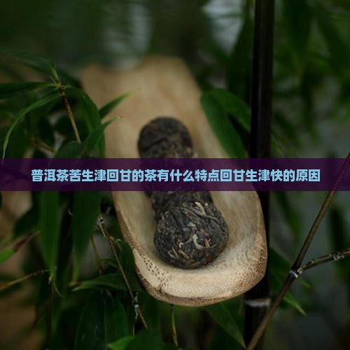 普洱茶苦生津回甘的茶有什么特点回甘生津快的原因