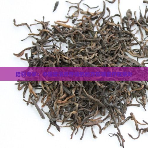 陆羽专家：中国普洱茶存储的地方在哪里存放茶叶
