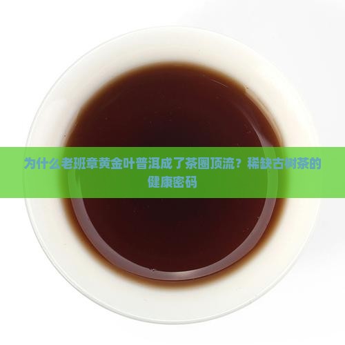 为什么老班章黄金叶普洱成了茶圈顶流？稀缺古树茶的健康密码