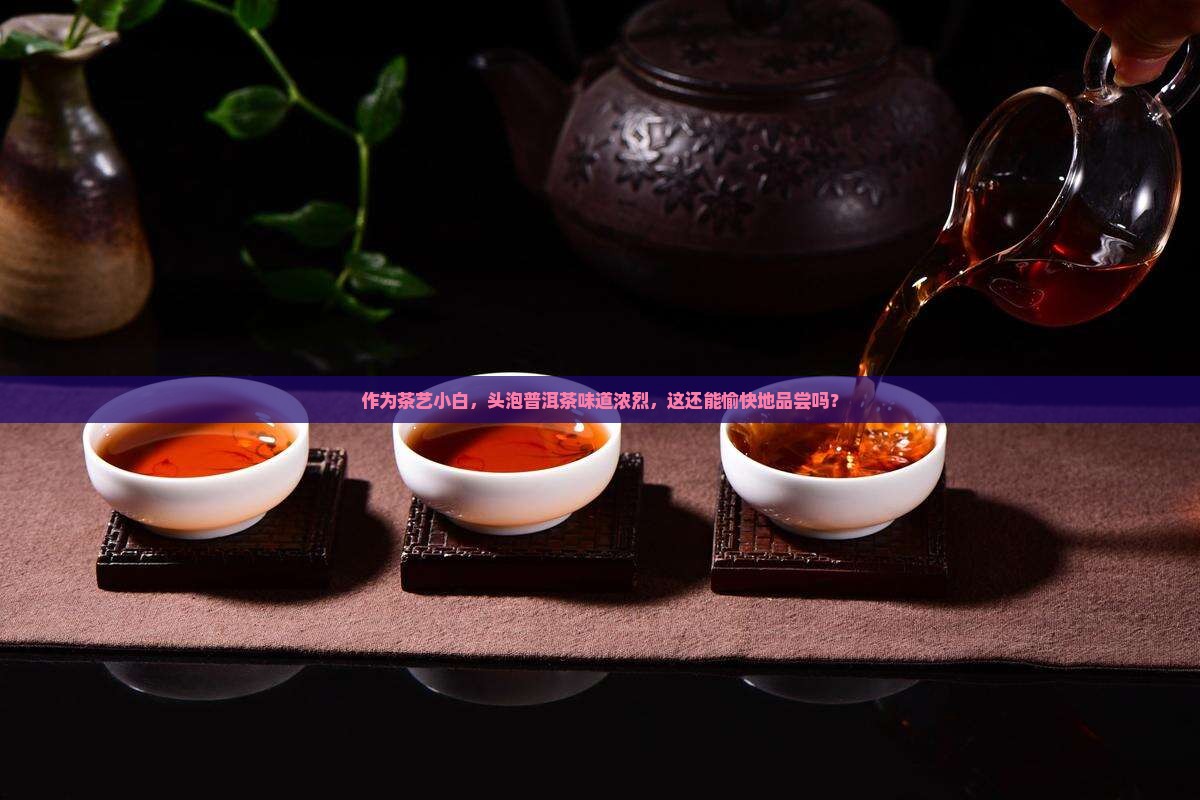 作为茶艺小白，头泡普洱茶味道浓烈，这还能愉快地品尝吗？