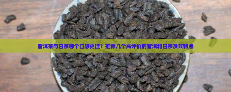 普洱茶与白茶哪个口感更佳？推荐几个高评价的普洱和白茶及其特点
