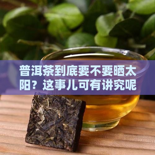 普洱茶到底要不要晒太阳？这事儿可有讲究呢