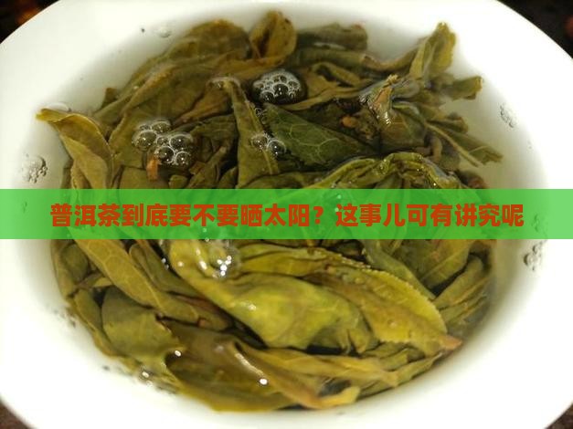 普洱茶到底要不要晒太阳？这事儿可有讲究呢