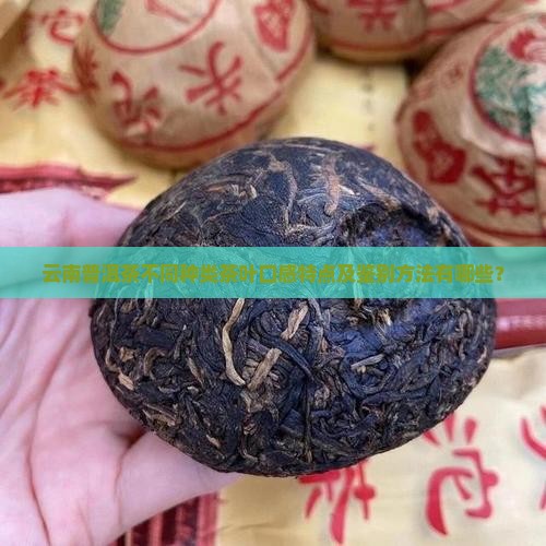 云南普洱茶不同种类茶叶口感特点及鉴别方法有哪些？