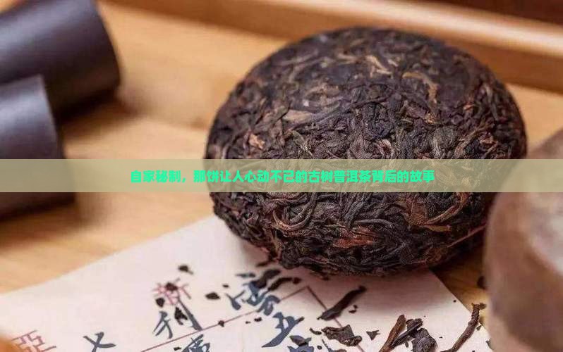 自家秘制，那饼让人心动不已的古树普洱茶背后的故事