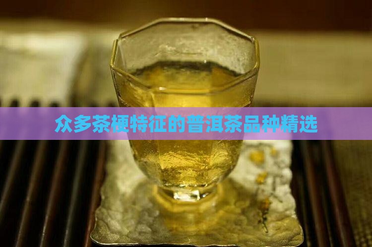 众多茶梗特征的普洱茶品种精选