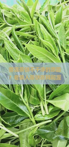 普洱茶饼不干净的原因？老茶人茶饼农残和渥堆污染的那些事