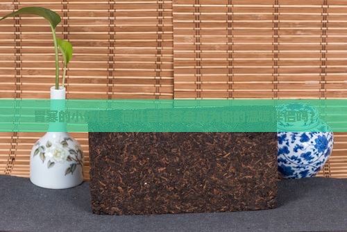 胃寒的小伙伴，荷叶普洱茶会成为你的温暖伴侣吗？