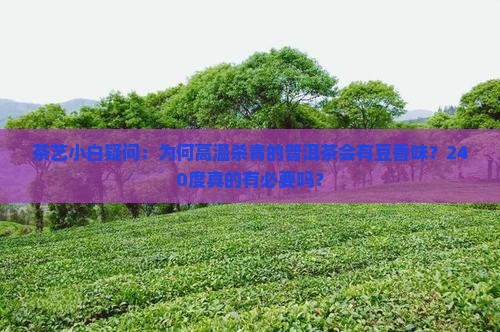 茶艺小白疑问：为何高温杀青的普洱茶会有豆香味？240度真的有必要吗？