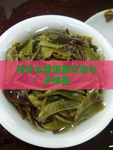 为什么普洱茶又叫七子饼茶