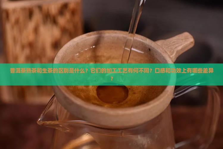 普洱茶熟茶和生茶的区别是什么？它们的加工工艺有何不同？口感和功效上有哪些差异？