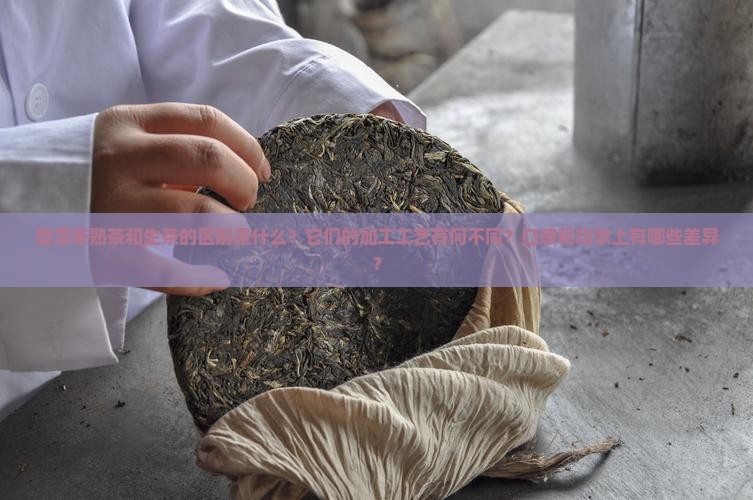 普洱茶熟茶和生茶的区别是什么？它们的加工工艺有何不同？口感和功效上有哪些差异？