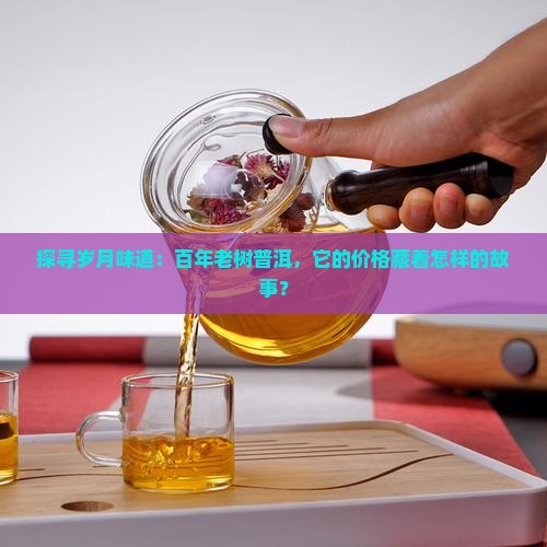探寻岁月味道：百年老树普洱，它的价格藏着怎样的故事？