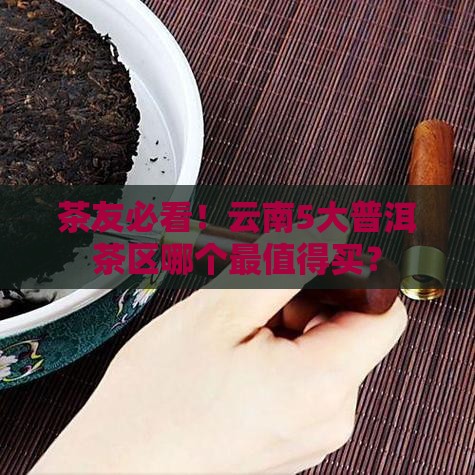 茶友必看！云南5大普洱茶区哪个最值得买？