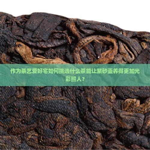 作为茶艺爱好宅如何挑选什么茶能让紫砂壶养得更加光彩照人？