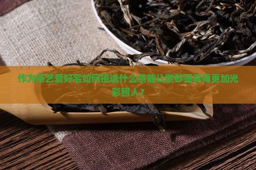 作为茶艺爱好宅如何挑选什么茶能让紫砂壶养得更加光彩照人？