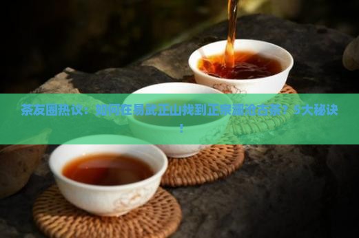 茶友圈热议：如何在易武正山找到正宗澜沧古茶？5大秘诀！