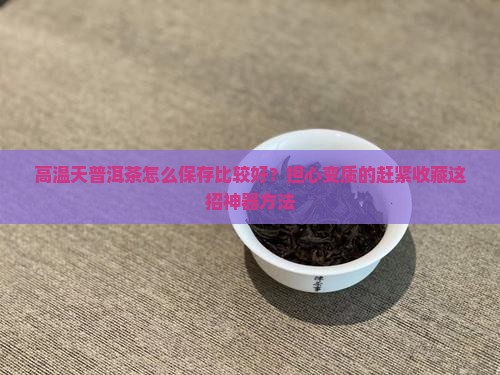 高温天普洱茶怎么保存比较好？担心变质的赶紧收藏这招神器方法
