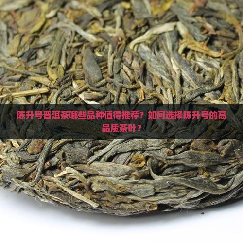 陈升号普洱茶哪些品种值得推荐？如何选择陈升号的高品质茶叶？