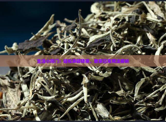 生活小窍门：轻松弄碎砖茶，散茶日常用法解析